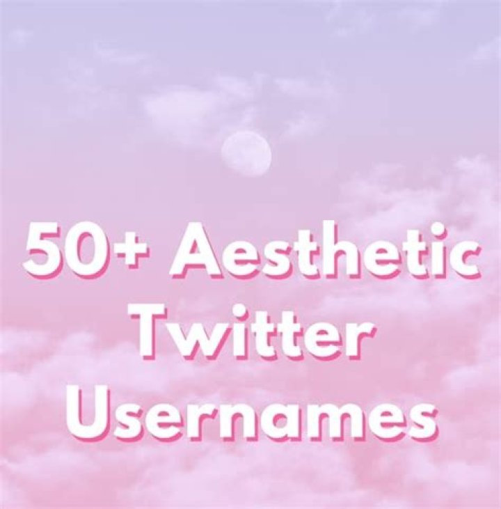 50 Aesthetic Twitter Usernames And Ideas The Ultimate List turbotech