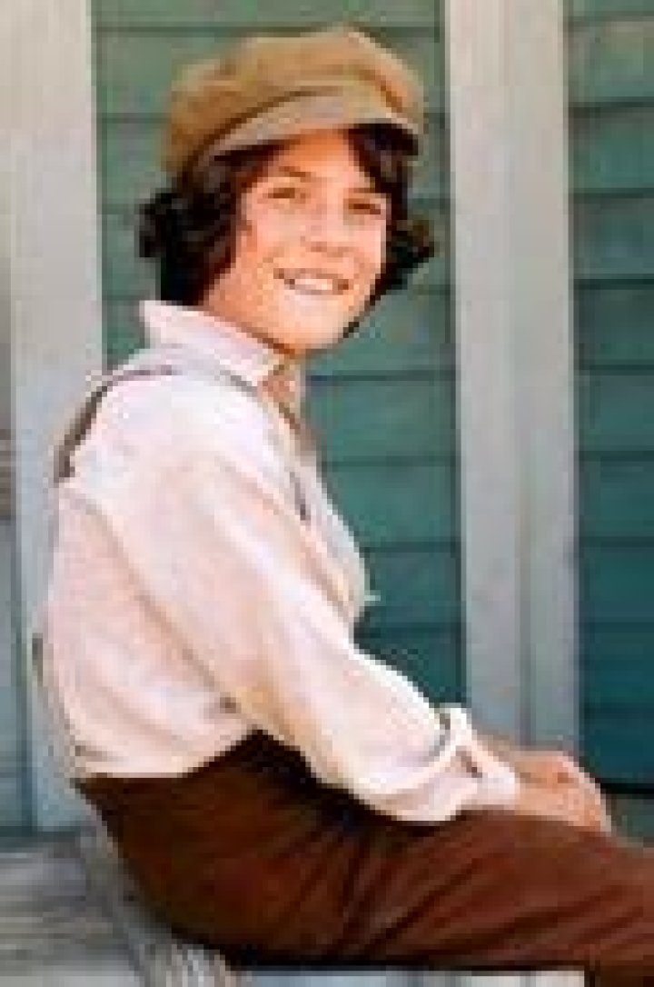 Albert Quinn Ingalls Little House on the Prairie Wiki Fandom