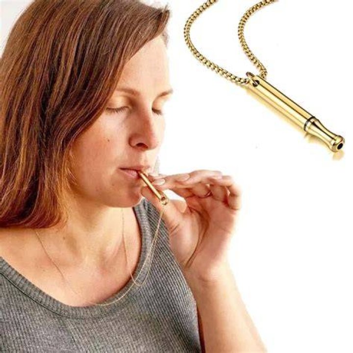 Anxiety Whistle Necklace/mindfulness Deep Breathing Etsy