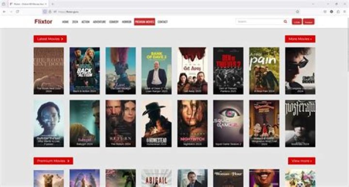Best Alternatives to Flixtor
