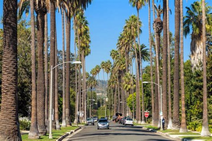 BEVERLY HILLS, LOS ANGELES, CALIFORNIA, USA AUGUST 20 Sheri Osborne
