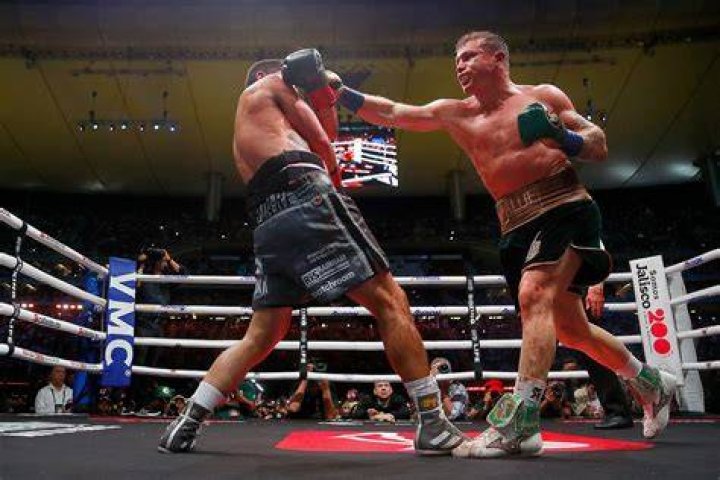 Canelo VaryckRachel