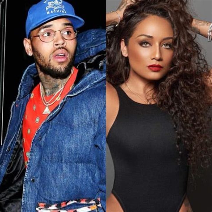 Chris Brown & Ex Nia Guzman Have a Good Relationship for the Sake of