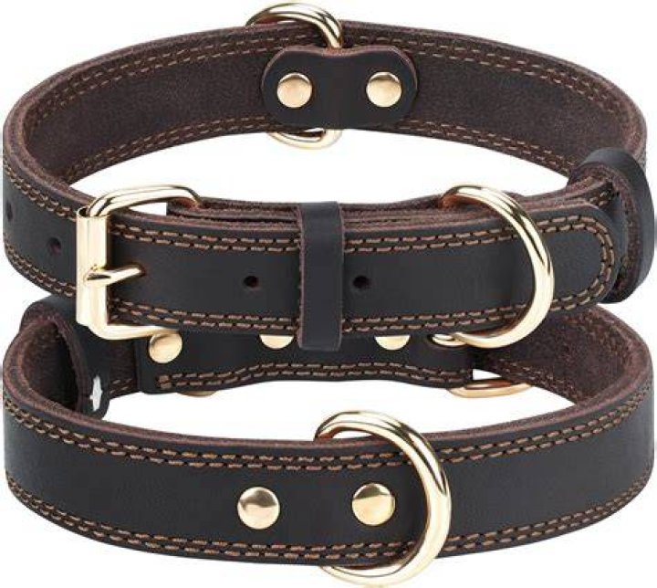 Dog Collar for Large Dogs, Rhinestones Dog Collar, Bling Diamond Girl