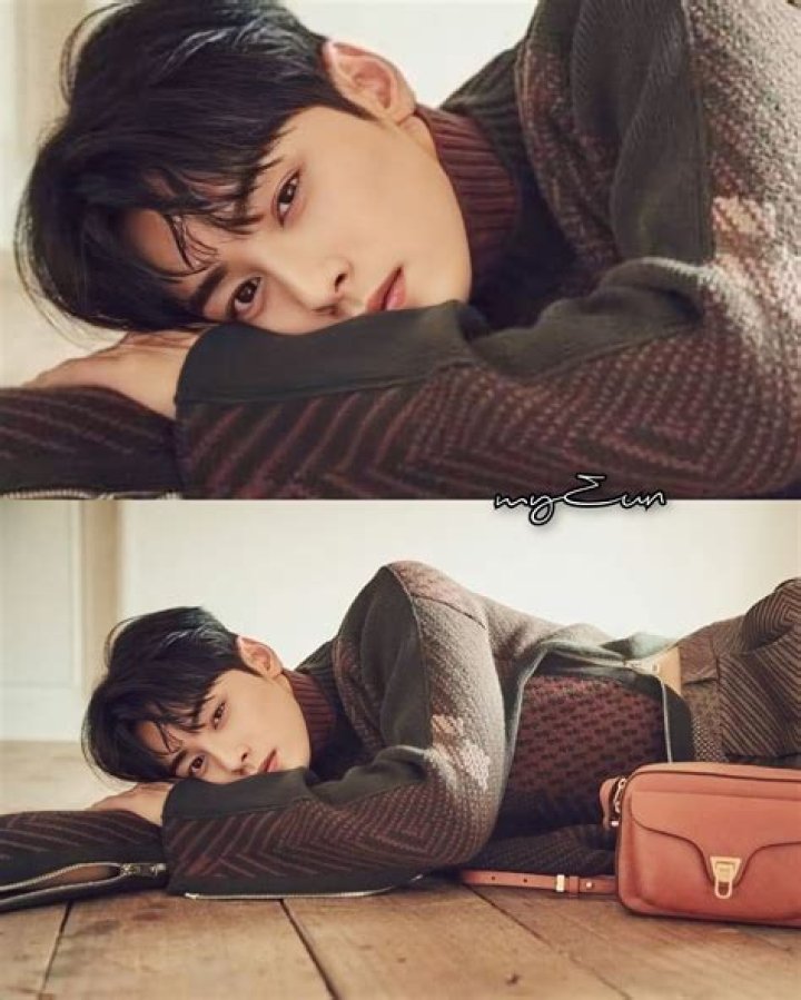eunwoo pics on Twitter "💖💐 ㅡ astro 아스트로 chaeunwoo 차은우… " Pig
