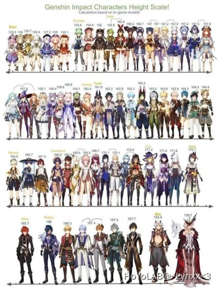Genshin Impact Character Height Chart