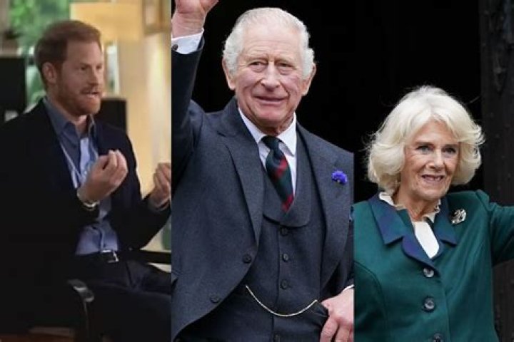 Harry accuses Camilla of leaking royal information to the media