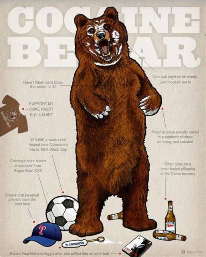 [Image 103281] Cocaine Bear Know Your Meme