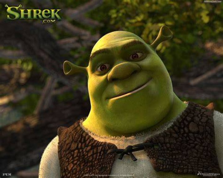 Koleksi Kartun Terbaik Shrek 1 King