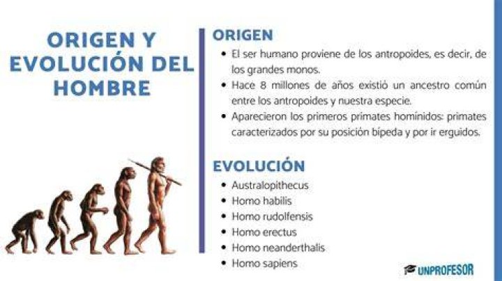 La historia del origen del Gallinazo en el programa de Paco Stanley