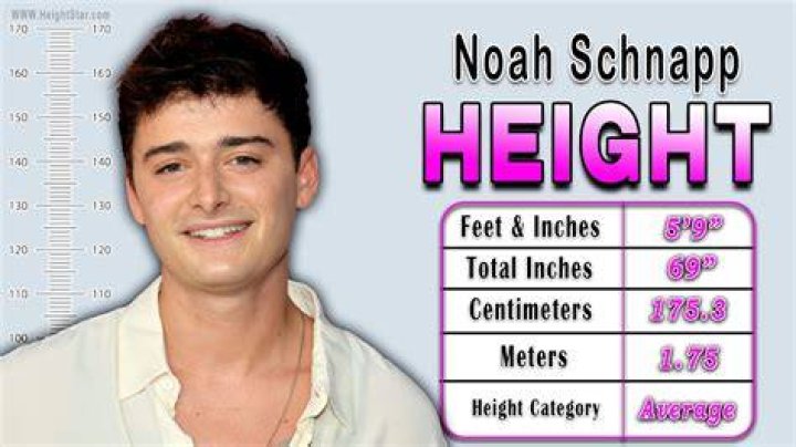 Noah Schnapp Wiki, Age, Height, Girlfriend, Ethnicity, Movies, TV