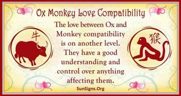 Ox Man Monkey Woman LongTerm Compatibility
