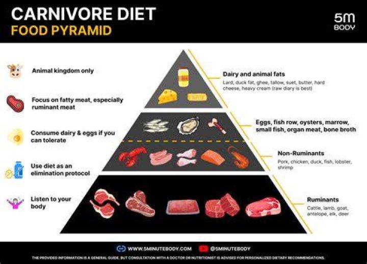 preferable Observation T carnivore diet jordan peterson and his