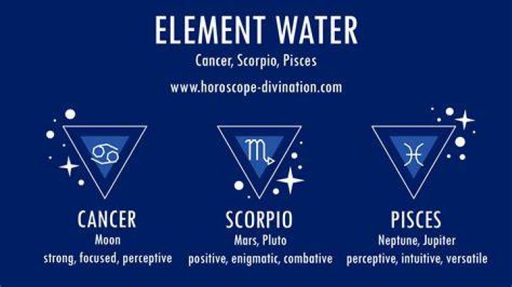 Scorpio truth. Water sign. Zodiac signs, Astrology signs, Zodiac