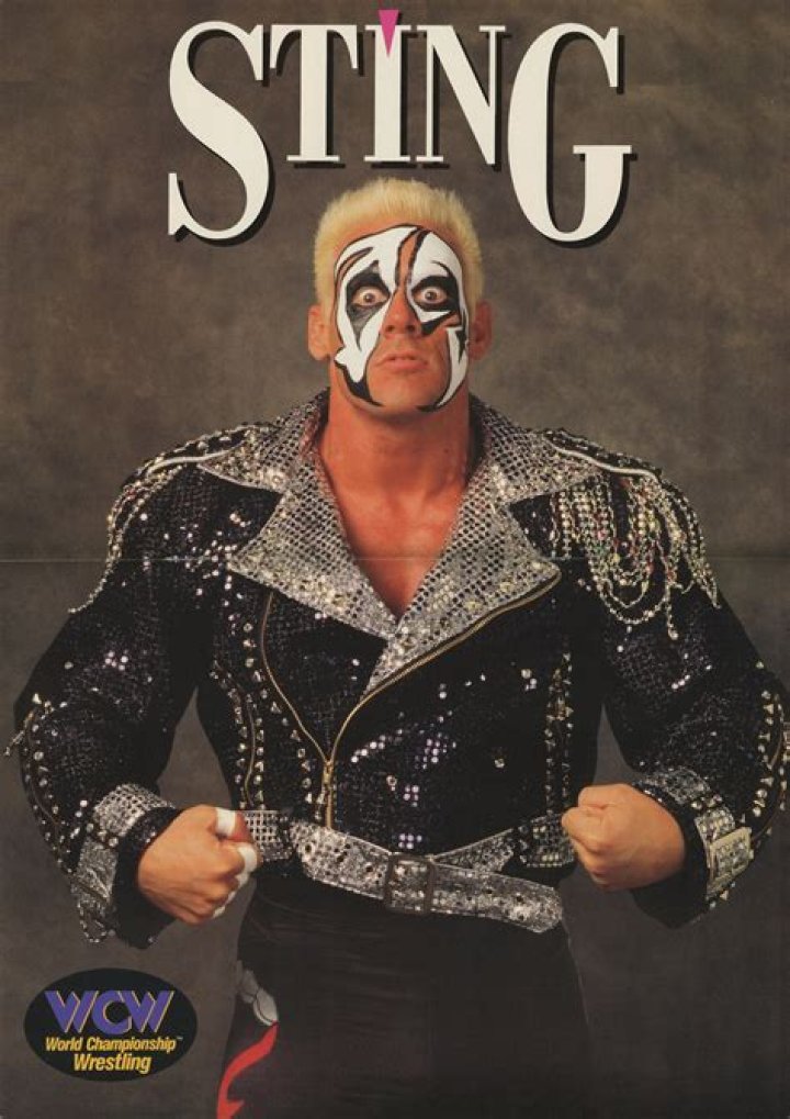 Sting (1995) Sting wcw, Wrestler, Wrestling superstars