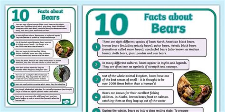 These 10 Facts About Bear Grylls Will Make You Wonder Whether He's