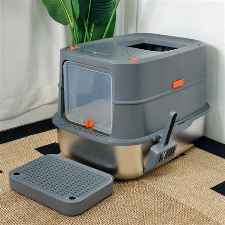 Top 5 Cat Litter Boxes Purrfect Love