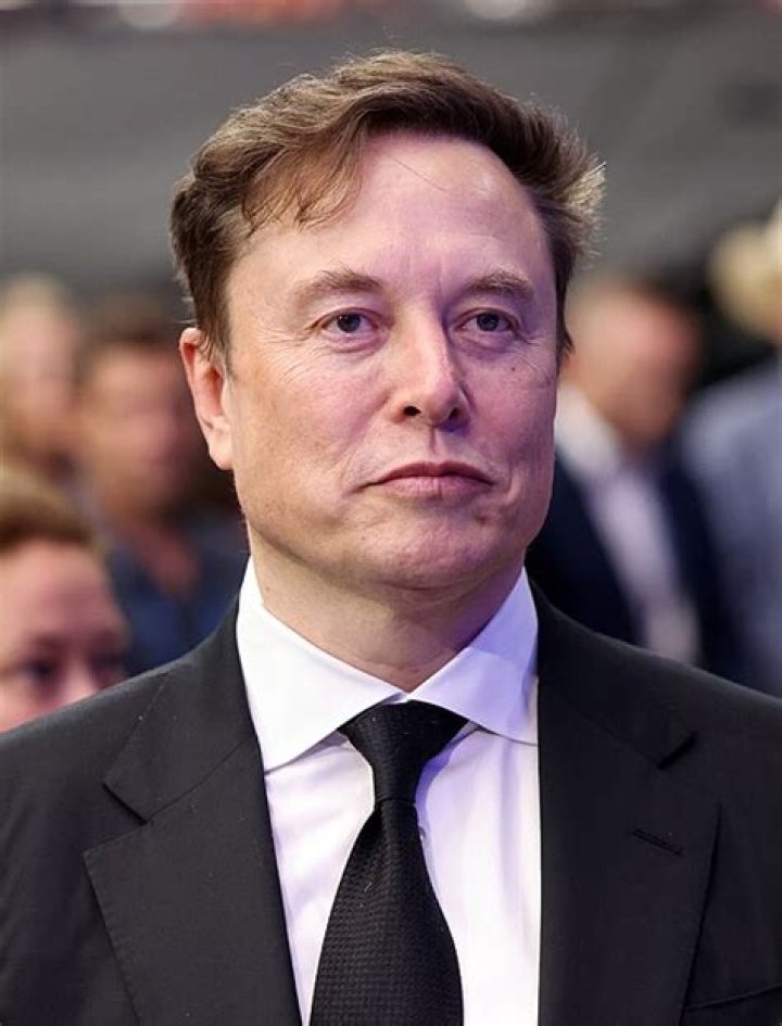 Wealth of Elon Musk Wikipedia