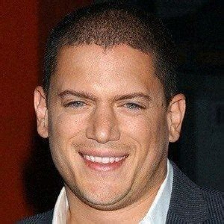 Wentworth Miller Bio, Age, Personal Life, Net Worth and Achievements