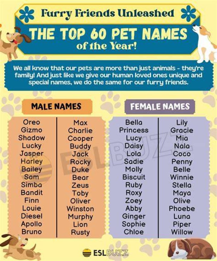 What Pet Name Should You Bestow Upon Your Significant Other? Names